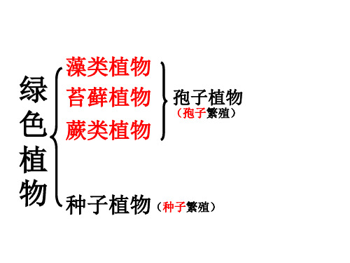 第二单元第一章生物圈中的绿色植物-山东省武城县济南版七年级生物上册课件(共49张PPT)