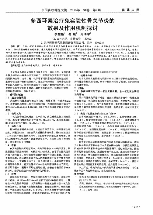 多西环素治疗兔实验性骨关节炎的效果及作用机制探讨