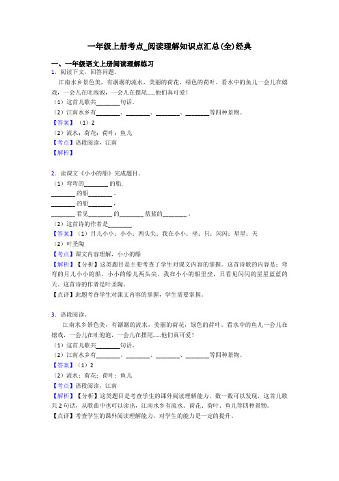 一年级一年级上册考点_阅读理解知识点汇总(全)经典