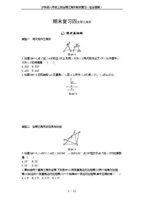 沪科版八年级上册全等三角形期末复习(包含答案)