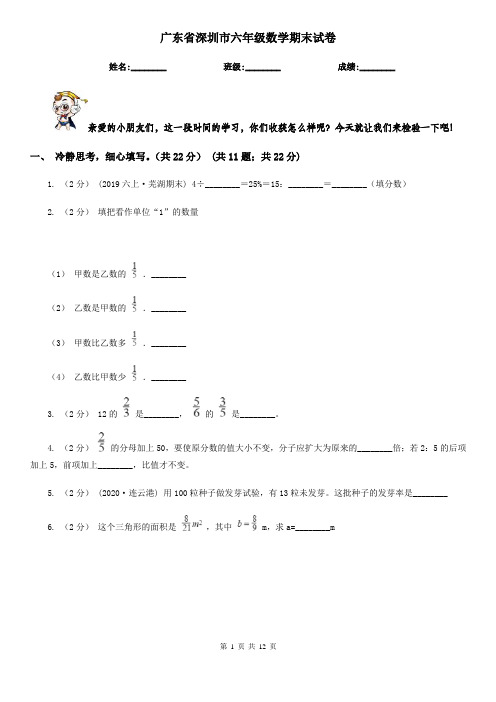 广东省深圳市六年级数学期末试卷