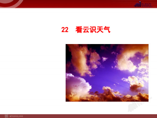 初中语文多媒体教学课件:看云识天气(七年级上)