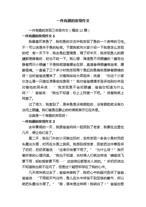 一件有趣的发现三年级作文（精选12篇）