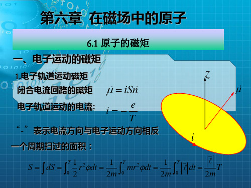 [理学]第六章在磁场中的原子_OK