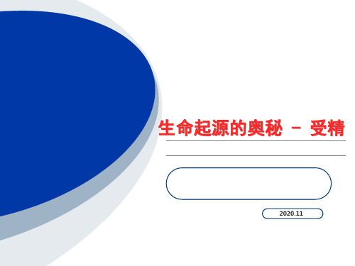 生命起源的奥秘-受精.pptx