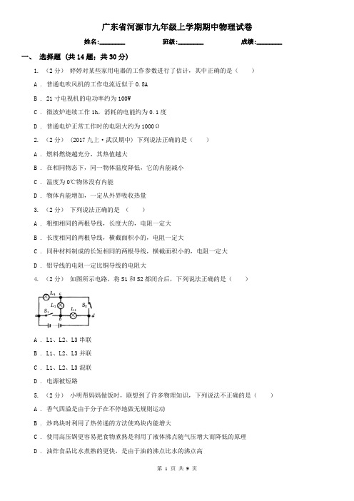 广东省河源市九年级上学期期中物理试卷