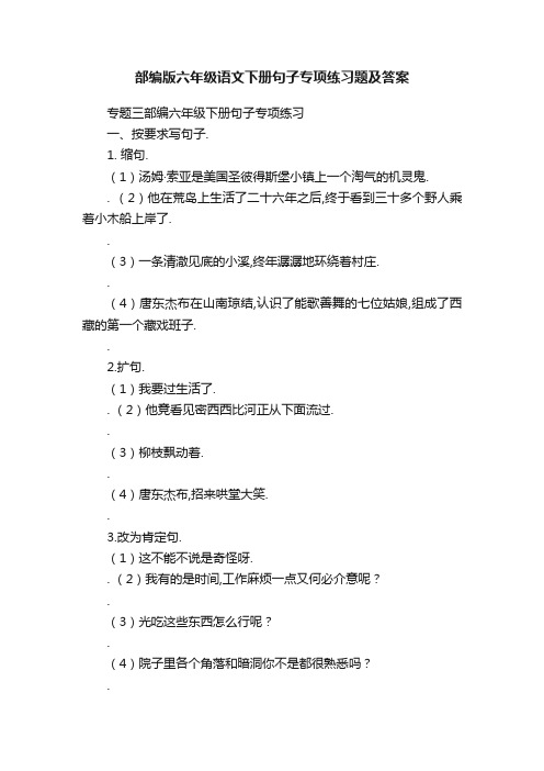 部编版六年级语文下册句子专项练习题及答案