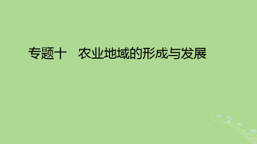 高考地理一轮总复习专题十农业地域的形成与发展课件