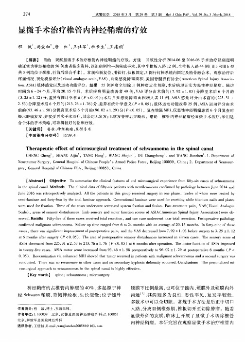 显微手术治疗椎管内神经鞘瘤的疗效
