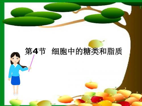 人教版高一生物第二章糖类脂质无机物名师课件