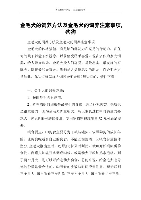 金毛犬的饲养方法及金毛犬的饲养注意事项,狗狗_1