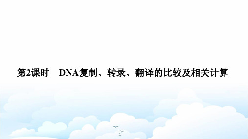 高中生物必修二优质课件：4.1.2 DNA复制、转录、翻译的比较及相关计算