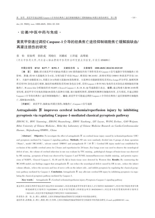 黄芪甲苷通过调控Caspase-1介导的经典焦亡途径抑制细胞焦亡缓解脑缺血