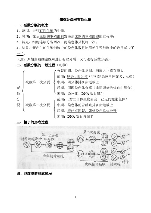 生物必修二第一章知识点归纳