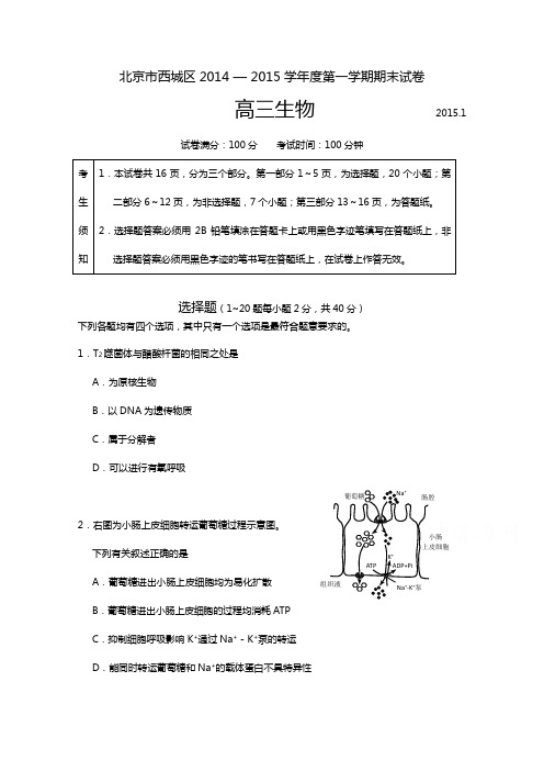 北京市丰台区2015届高三上学期期末练习生物试题及答案