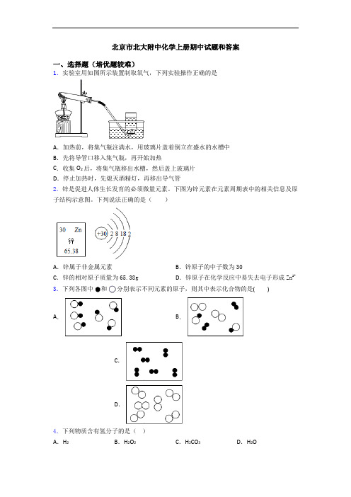 北京市北大附中初三化学上册期中试题和答案