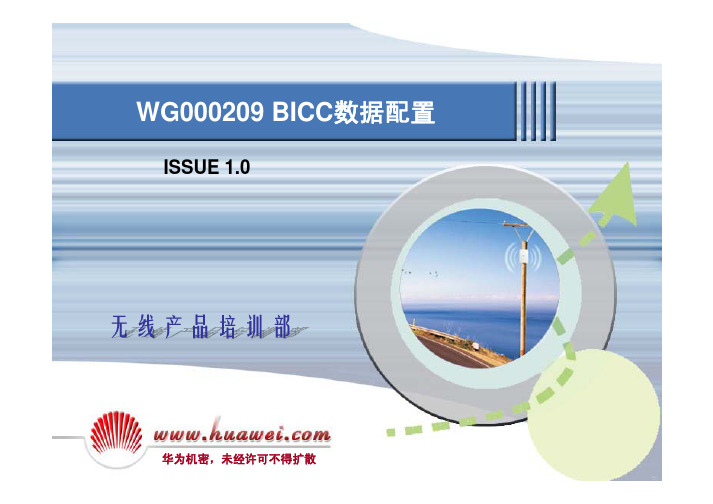 WG000209 BICC数据配置ISSUE1.0