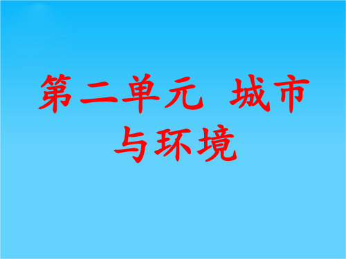 湖南师范大学附属中学高三地理复习课件 第三部分城市与环境1课时