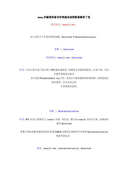 wsus升级使用命令行快速自动更新系统补丁包