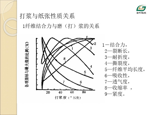 打浆与纸张性能