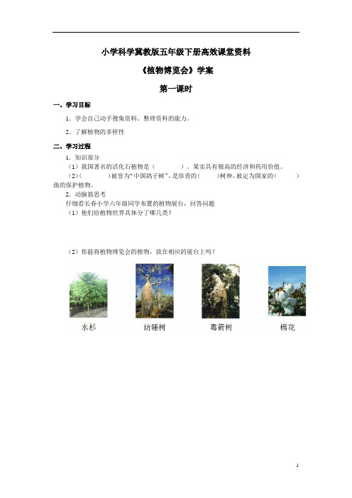 小学科学冀教版六年级上册高效课堂资料《植物博览会》学案——第1课时
