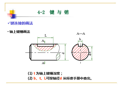 标准件和常用件画法