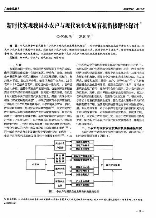 新时代实现我国小农户与现代农业发展有机衔接路径探讨