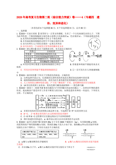 2020高考生物二轮复习 遗传、变异和进化综合能力专题