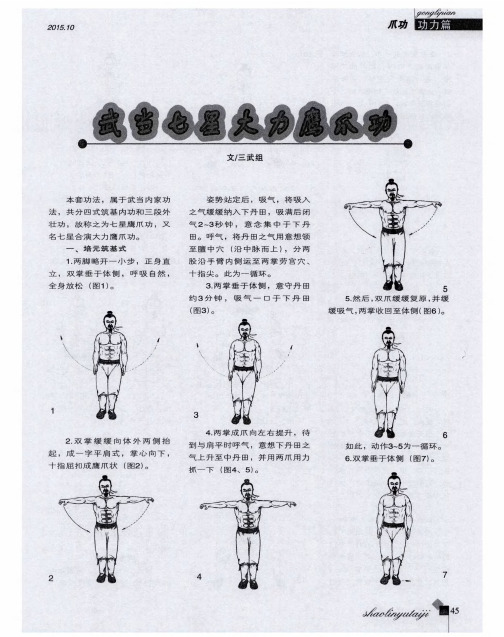 武当七星大力鹰爪功