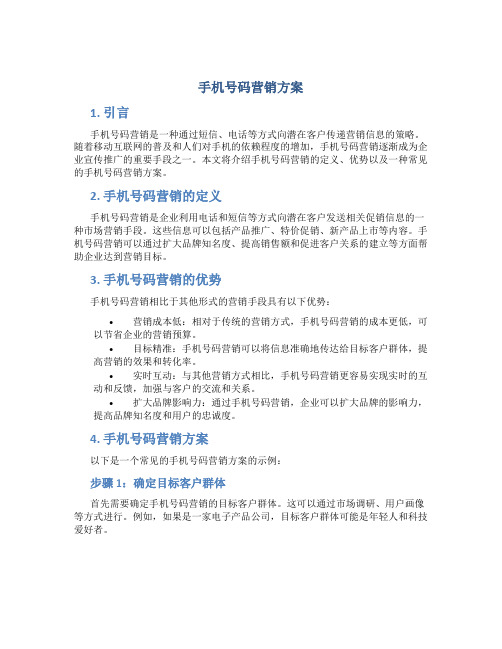 手机号码营销方案