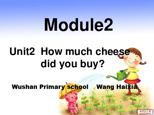 外研版五年级上册M2U2How much cheese did you buy