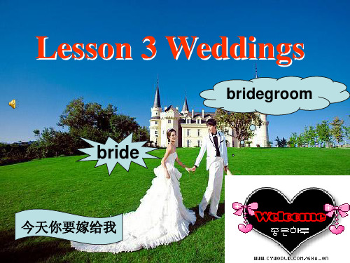 北师大版高中英语必修一Unit 3 Lesson 3 Weddings reading课件 (2)(