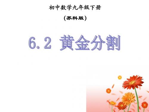 6.2 黄金分割(苏科版九年级)