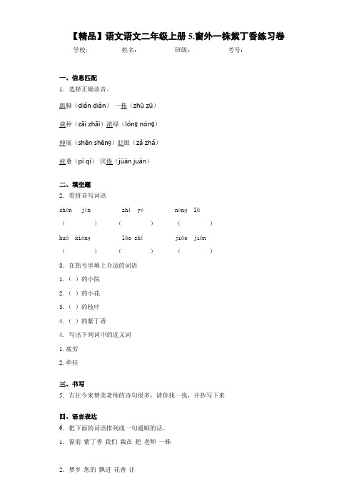 小学语文语文二年级上册5.窗外一株紫丁香练习卷(含答案解析)