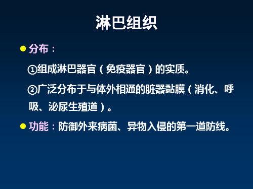 淋巴造血系统组织结构霍奇金淋巴瘤