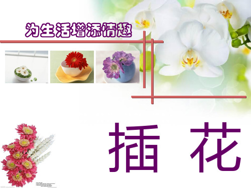 为生活增添情趣之插花