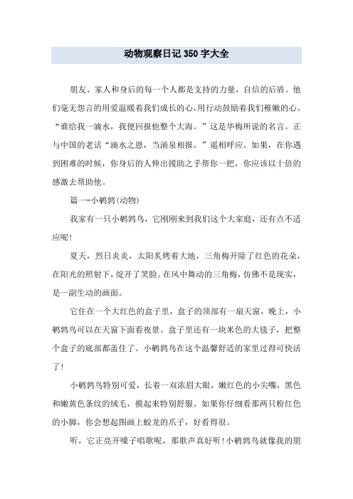 动物观察日记350字大全