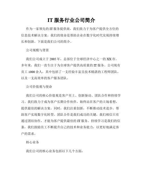 IT服务行业公司简介