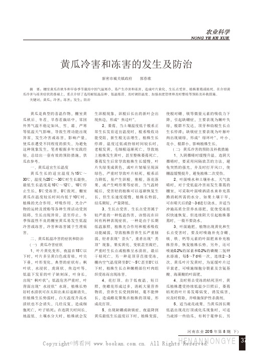 黄瓜冷害和冻害的发生及防治