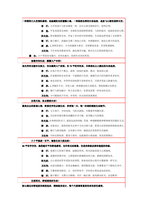 经典十大户型说明文案