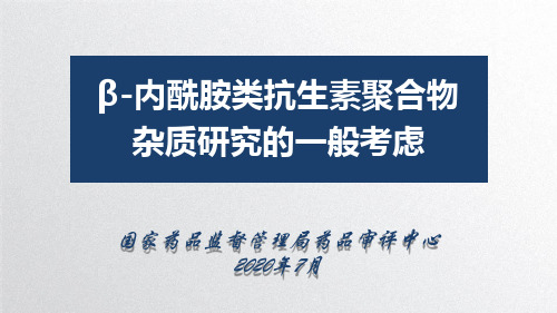 β-内酰胺类抗生素聚合物杂质研究的一般考虑