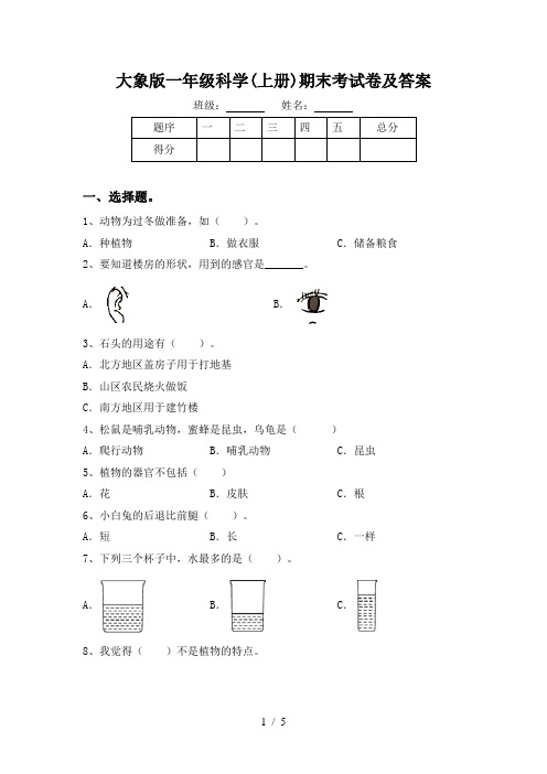 大象版一年级科学(上册)期末考试卷及答案