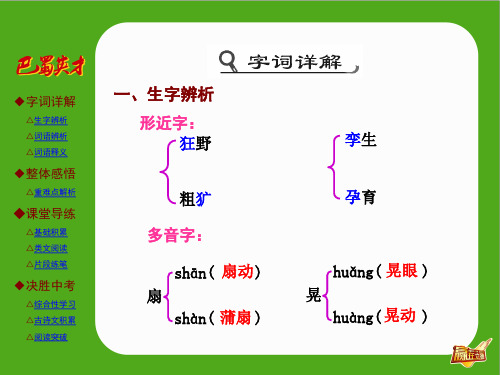 第29课盲孩子和他的影子