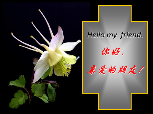 Hellomyfriend中英文对照