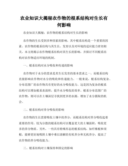 农业知识大揭秘农作物的根系结构对生长有何影响