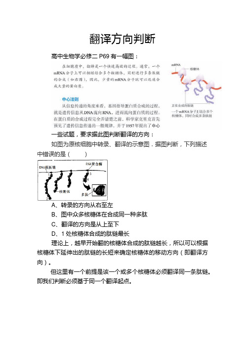 备课素材：翻译方向判断-高一下学期生物人教版必修2