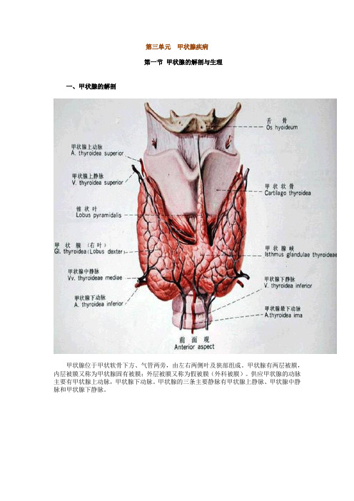 执业医师最新最全考点解析系列内分泌部分第三节——甲状腺疾病