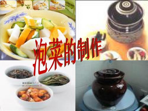 课题3 制作泡菜并检测亚硝酸盐含量
