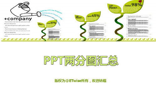 PPT两分图汇总.ppt