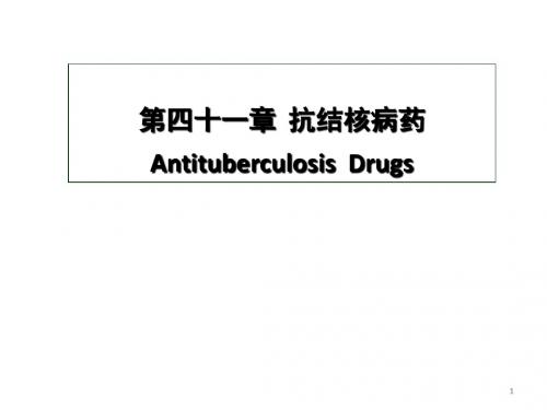 第四十一章:抗结核病与抗麻风病药